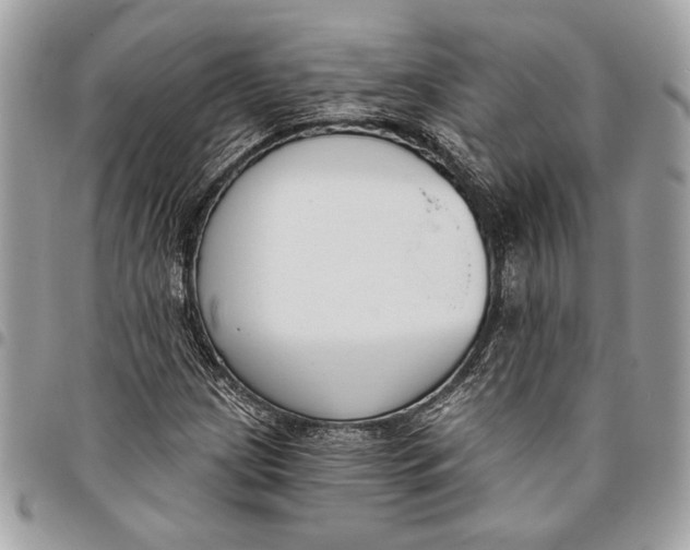 X0000096211209200802081453