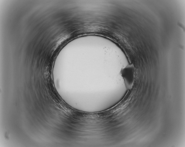 X0000096211210200802081453