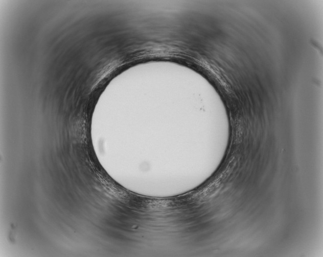 X0000096211211200802081453