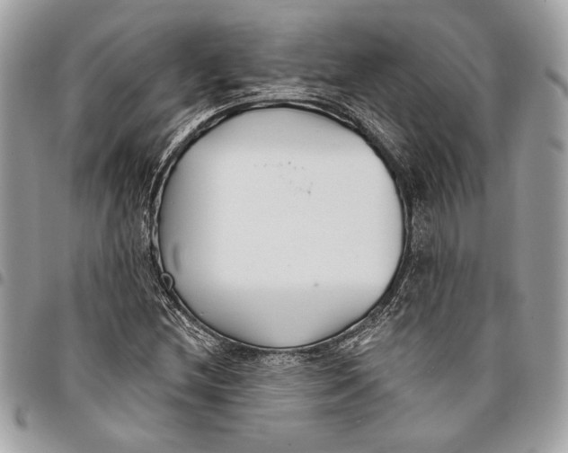 X0000096211212200802081453