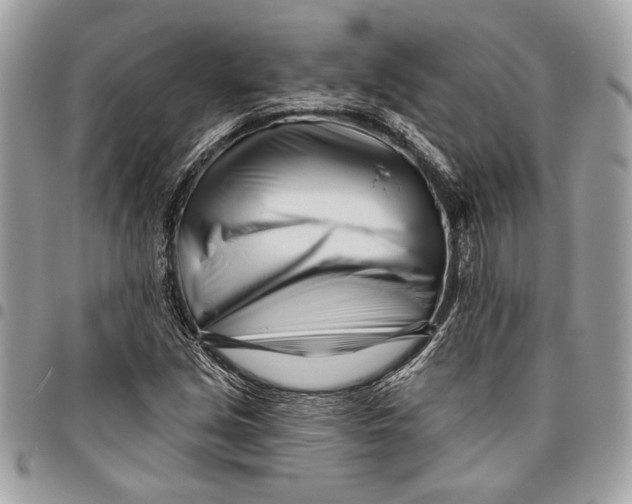 X0000096211213200802081453