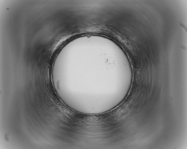 X0000096211214200802081454