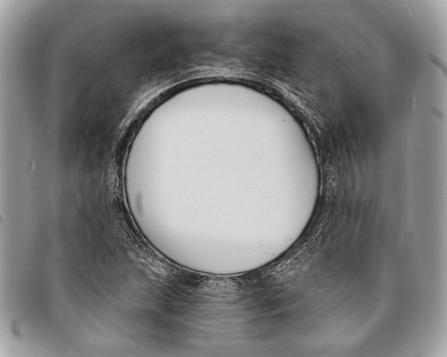 X0000096211215200802081454