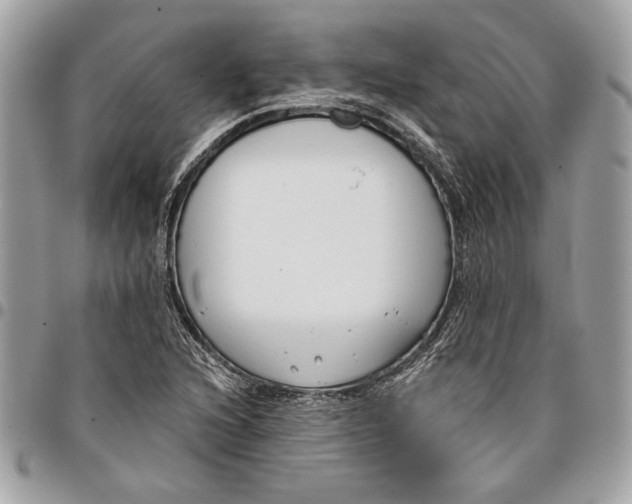 X0000096211216200802081454