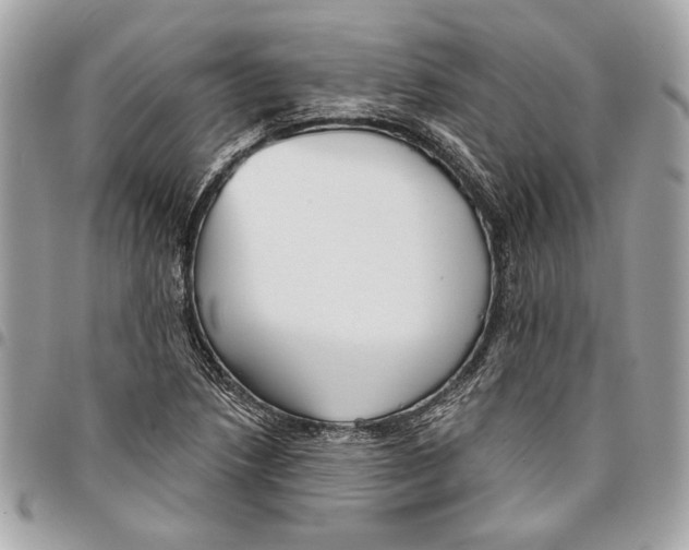 X0000096211218200802081454