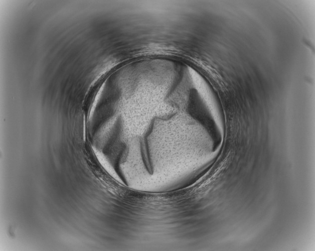 X0000096211219200802081454