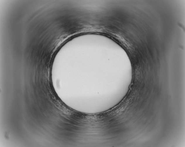 X0000096211220200802081454