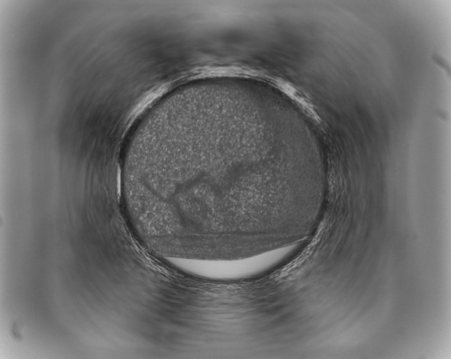 X0000096211221200802081454