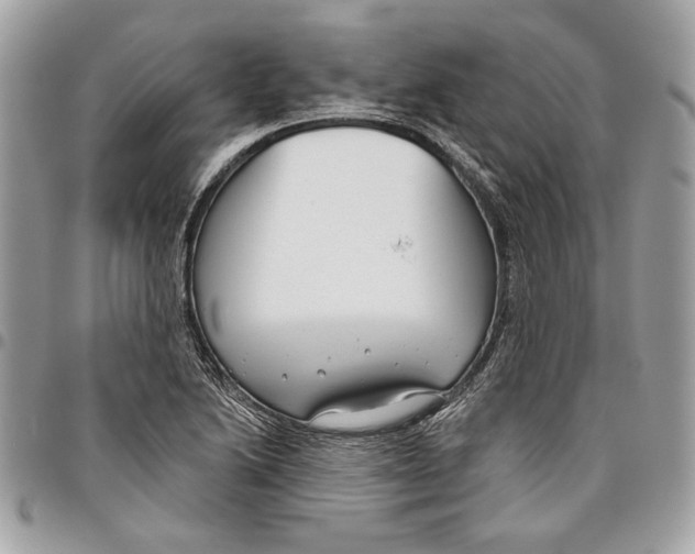 X0000096211222200802081454