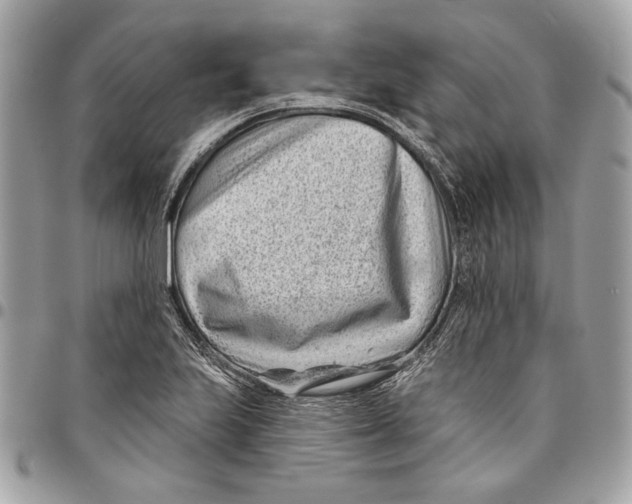 X0000096211223200802081454