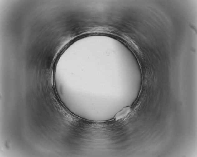 X0000096211224200802081454