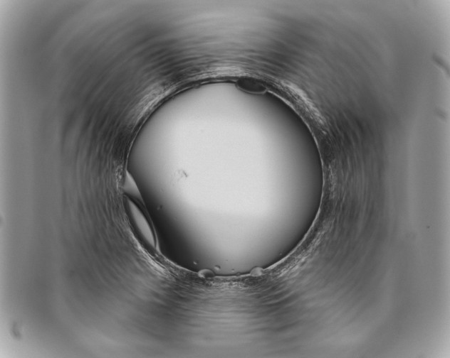 X0000096211225200802081454