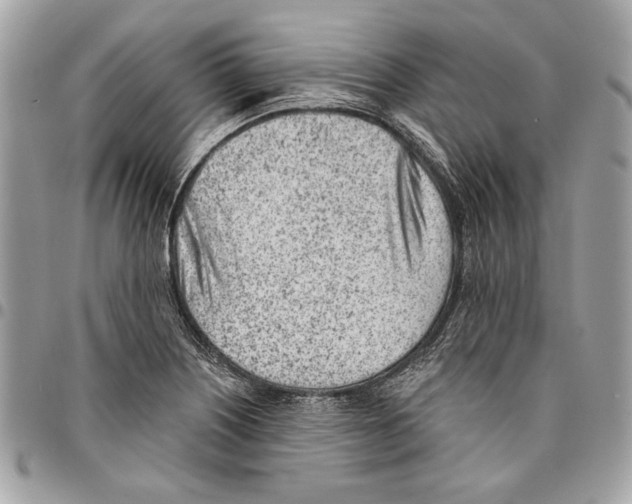 X0000096211226200802081454