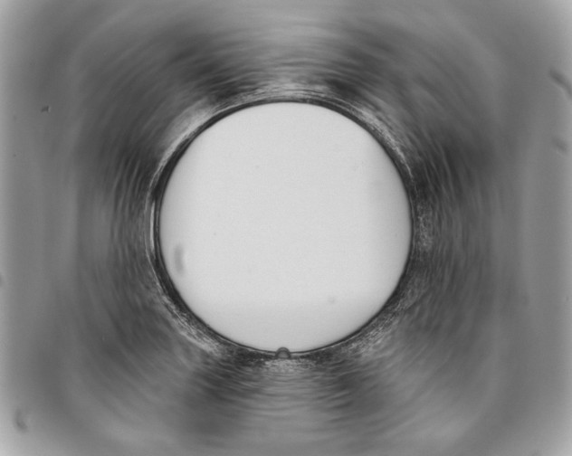 X0000096211227200802081454