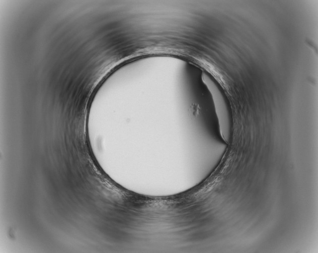 X0000096211228200802081454