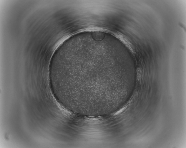 X0000096211229200802081454