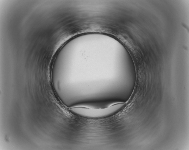 X0000096211230200802081454