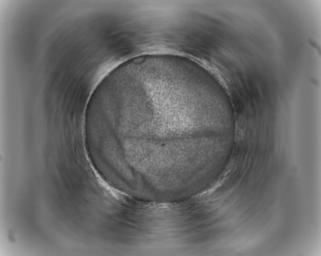 X0000096211231200802081454