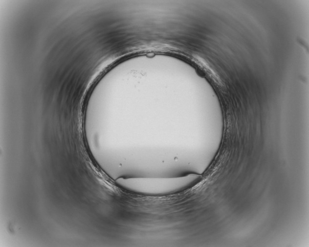 X0000096211232200802081454