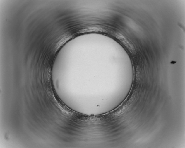 X0000096211233200802081454