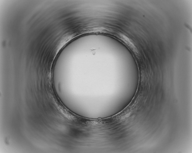 X0000096211234200802081454