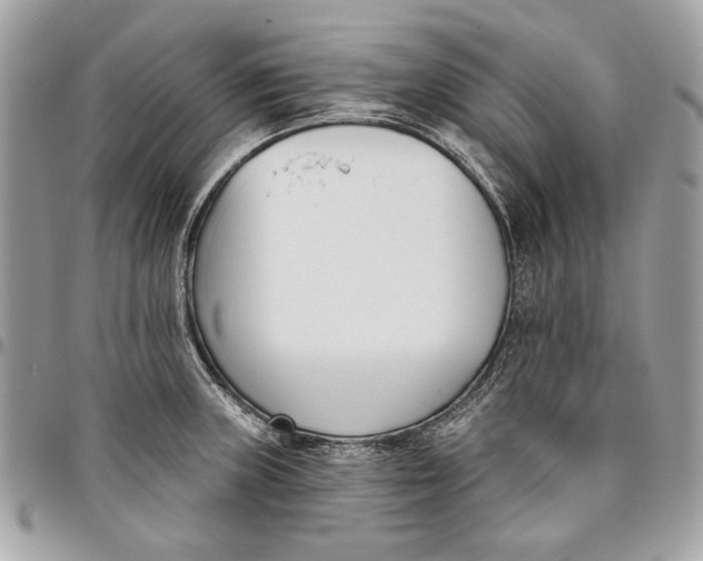 X0000096211235200802081454