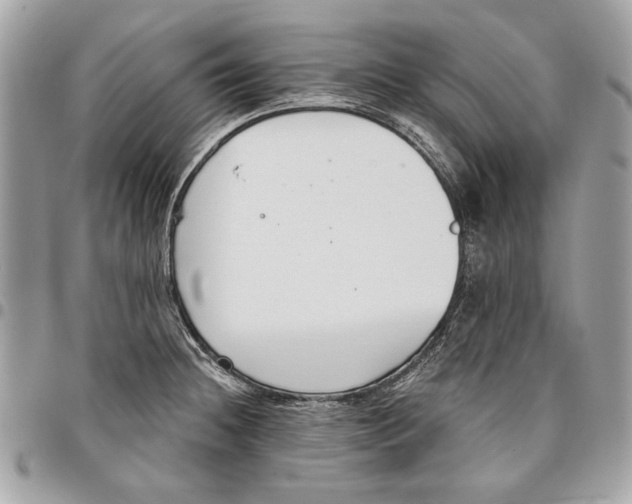 X0000096211236200802081454