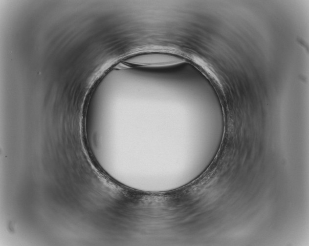 X0000096211237200802081454