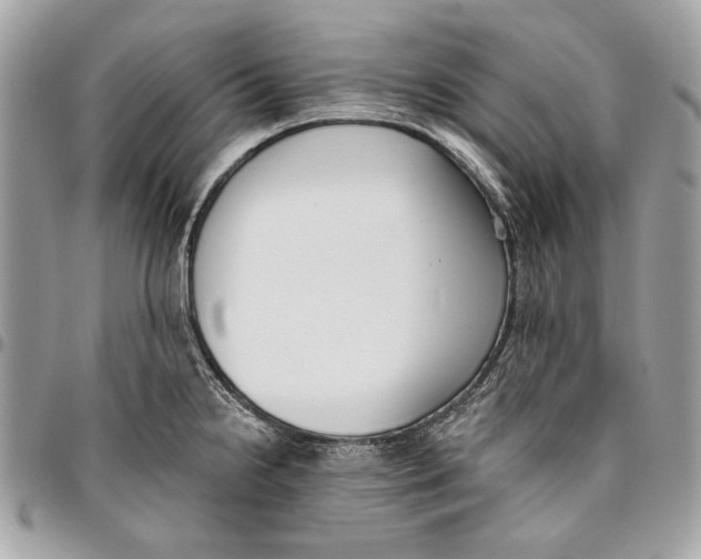 X0000096211238200802081454