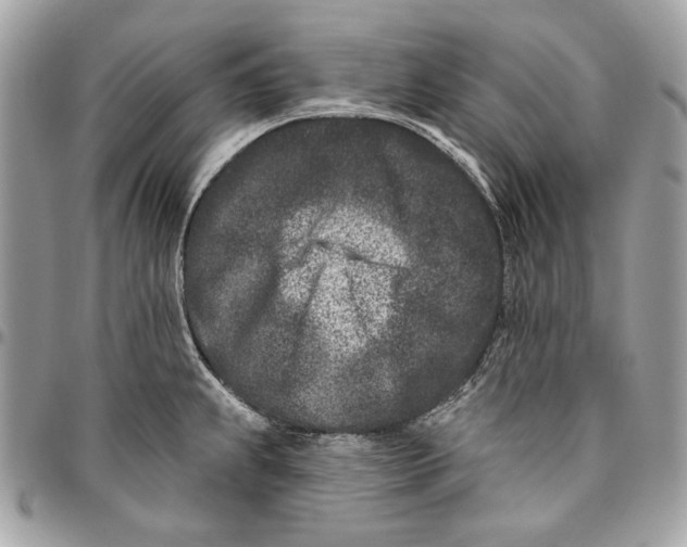 X0000096211239200802081454