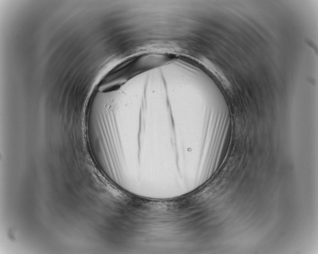 X0000096211240200802081454