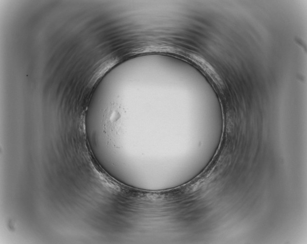 X0000096211241200802081454