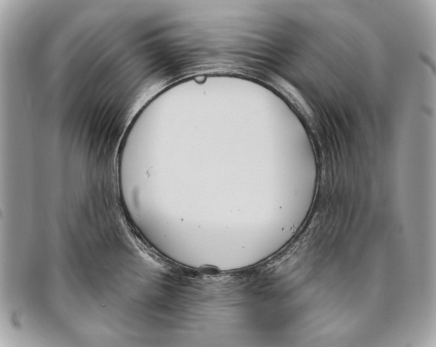 X0000096211242200802081454