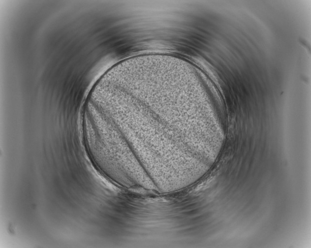 X0000096211243200802081454