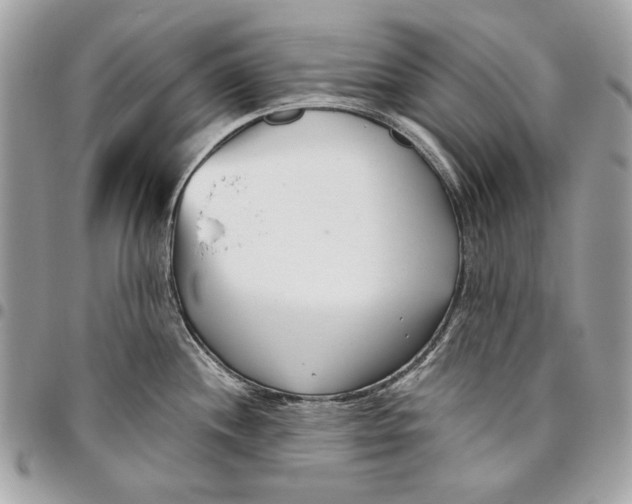 X0000096211244200802081454