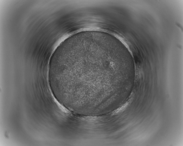 X0000096211245200802081454