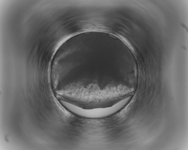 X0000096211246200802081454