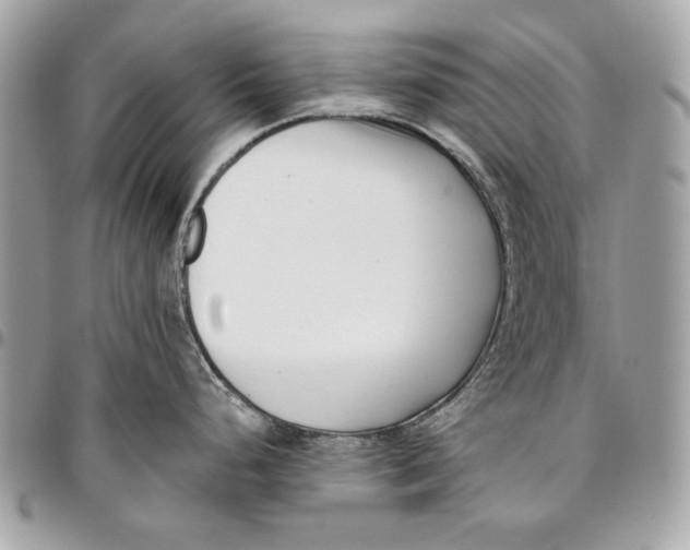 X0000096211248200802081454