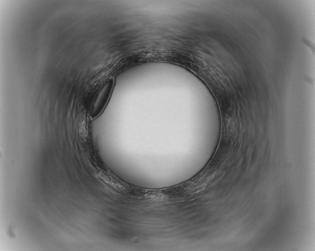 X0000096211250200802081453