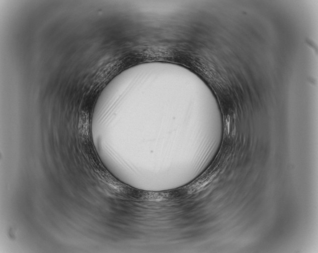 X0000096211251200802081453