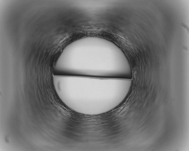 X0000096211252200802081453