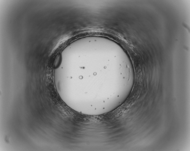 X0000096211255200802081453