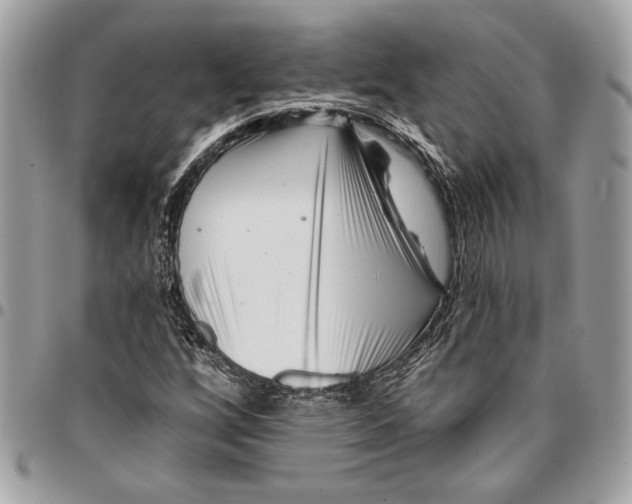 X0000096211256200802081453