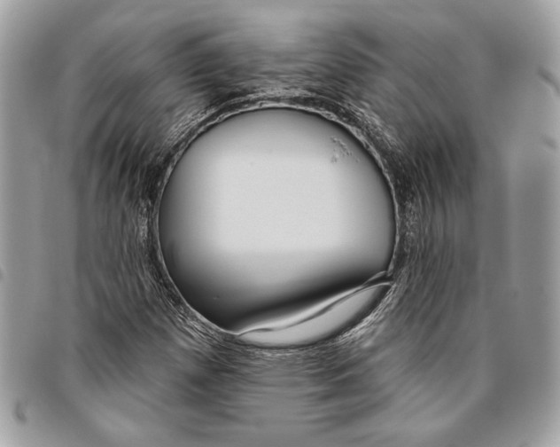 X0000096211257200802081453