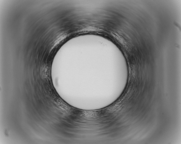 X0000096211258200802081453