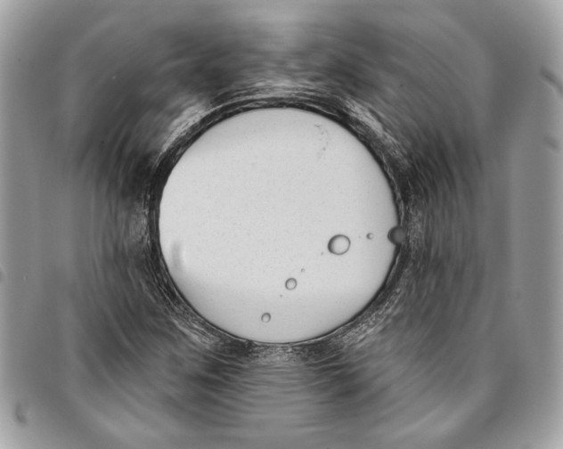 X0000096211259200802081453