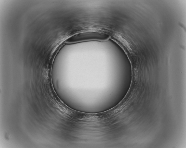 X0000096211260200802081453