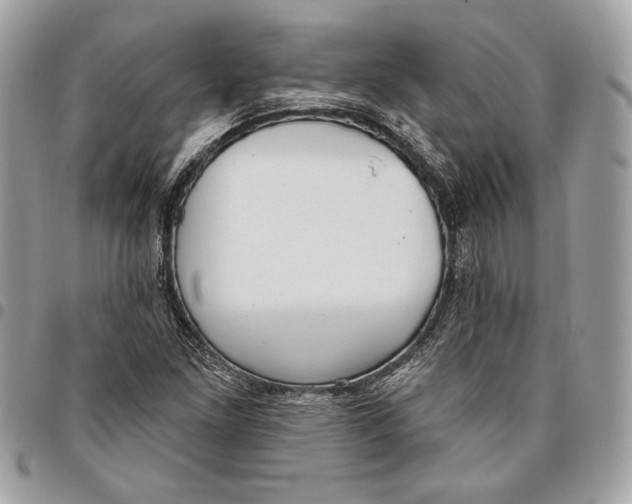 X0000096211261200802081453