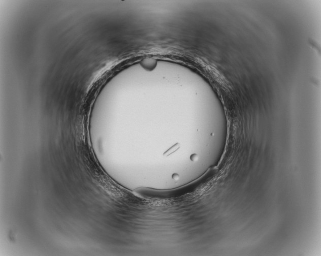 X0000096211262200802081453