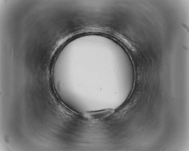 X0000096211264200802081453